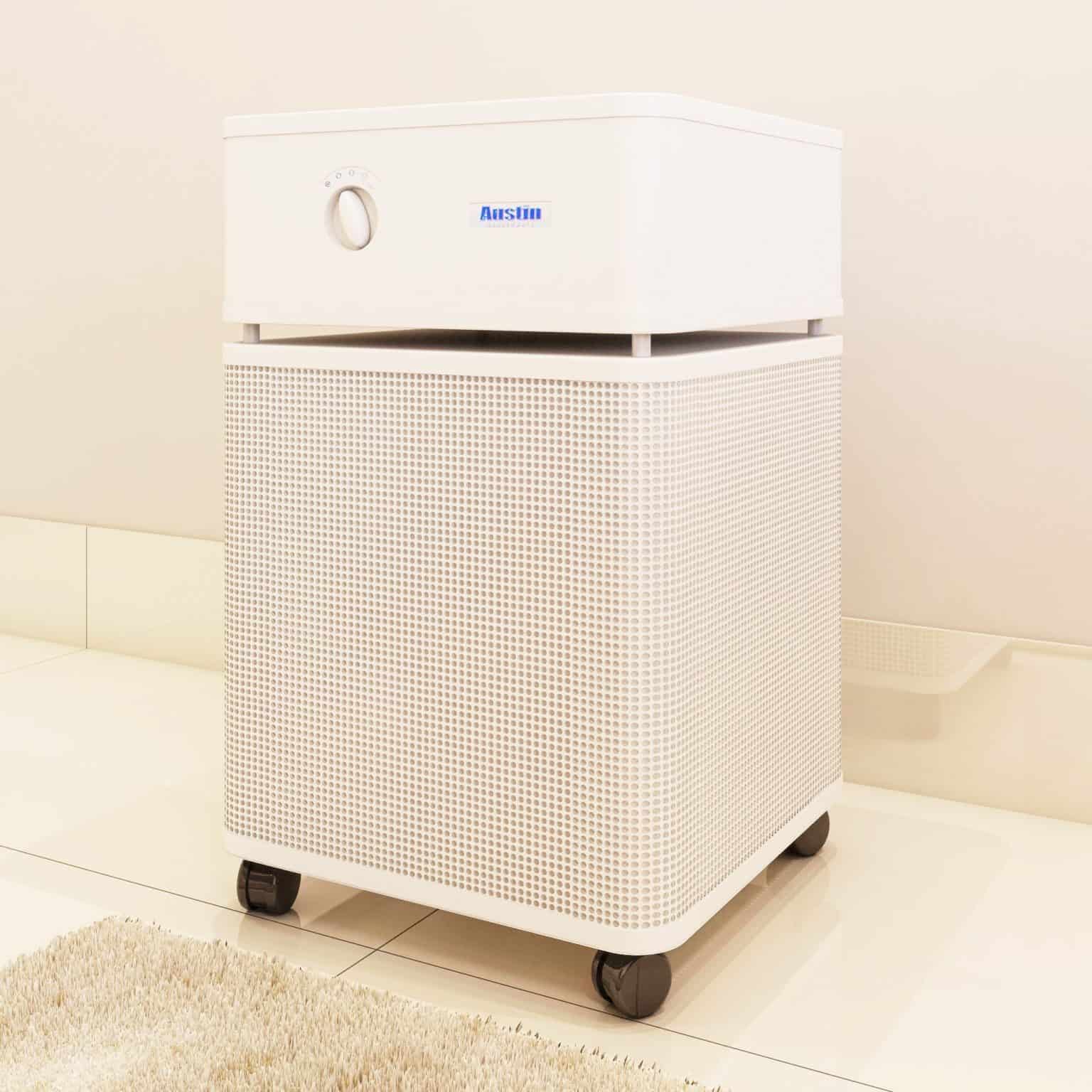 Three Air Filters That Remove Odors In The Home Reactual